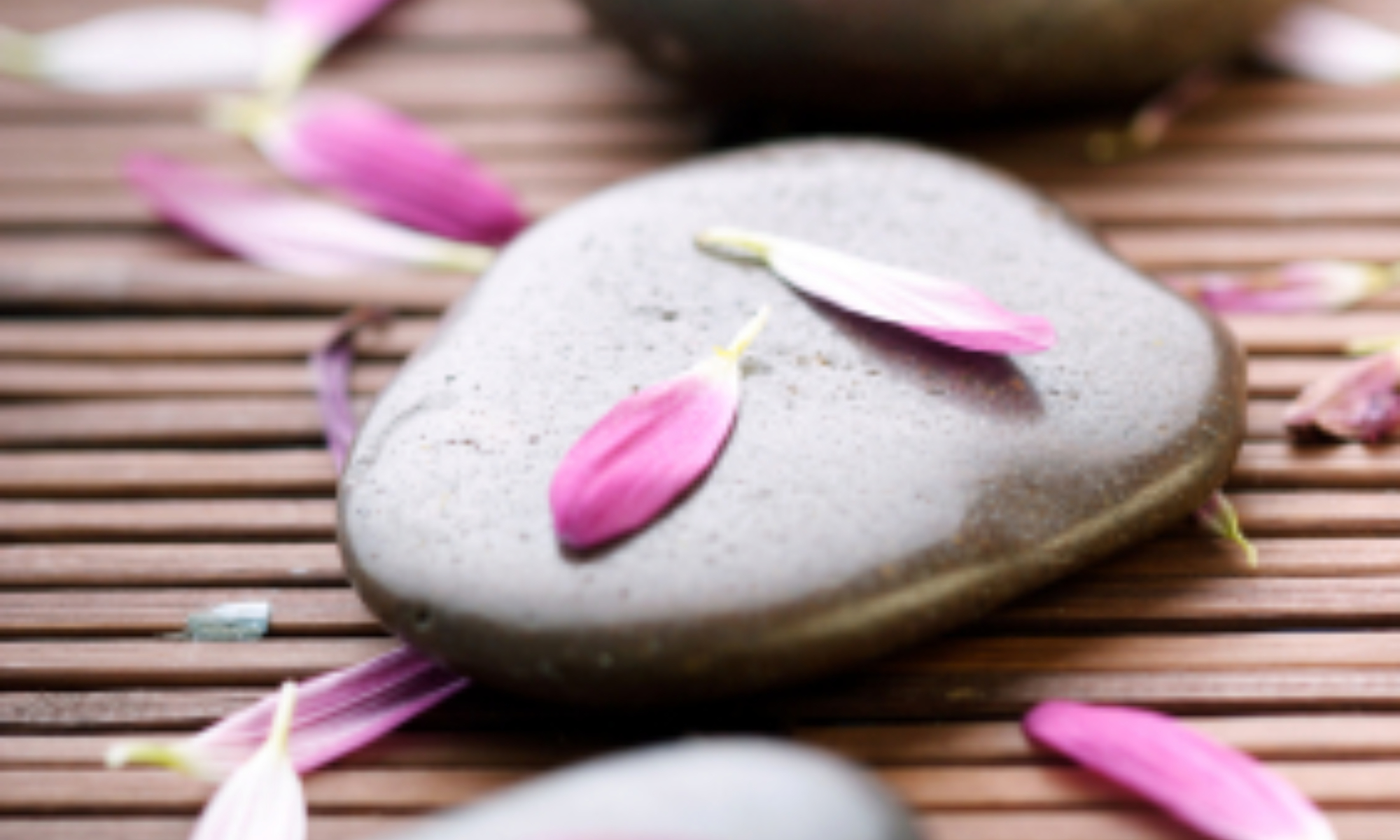 Flower Essence Therapy