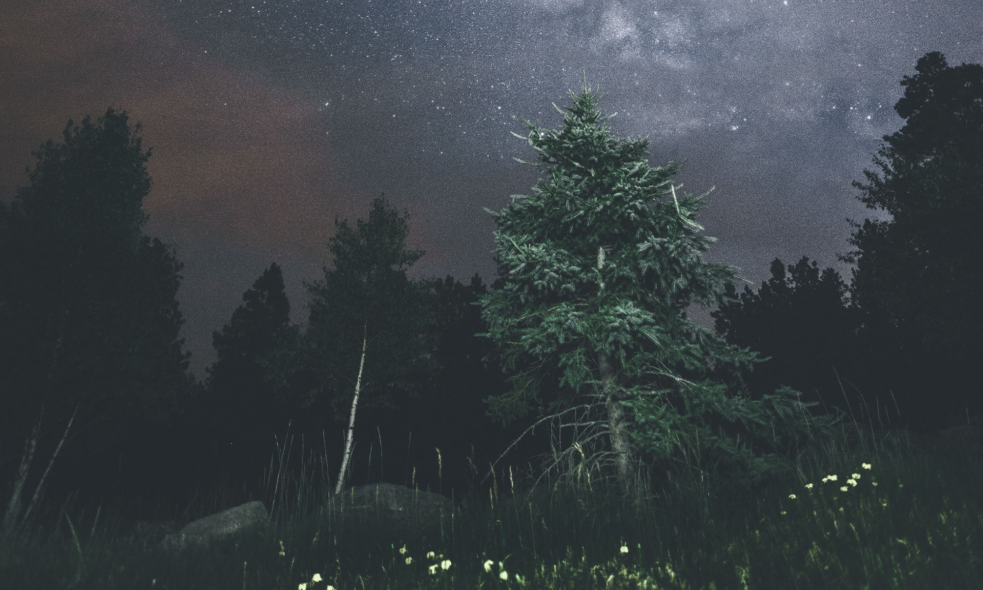 Reiki and Energy Medicine