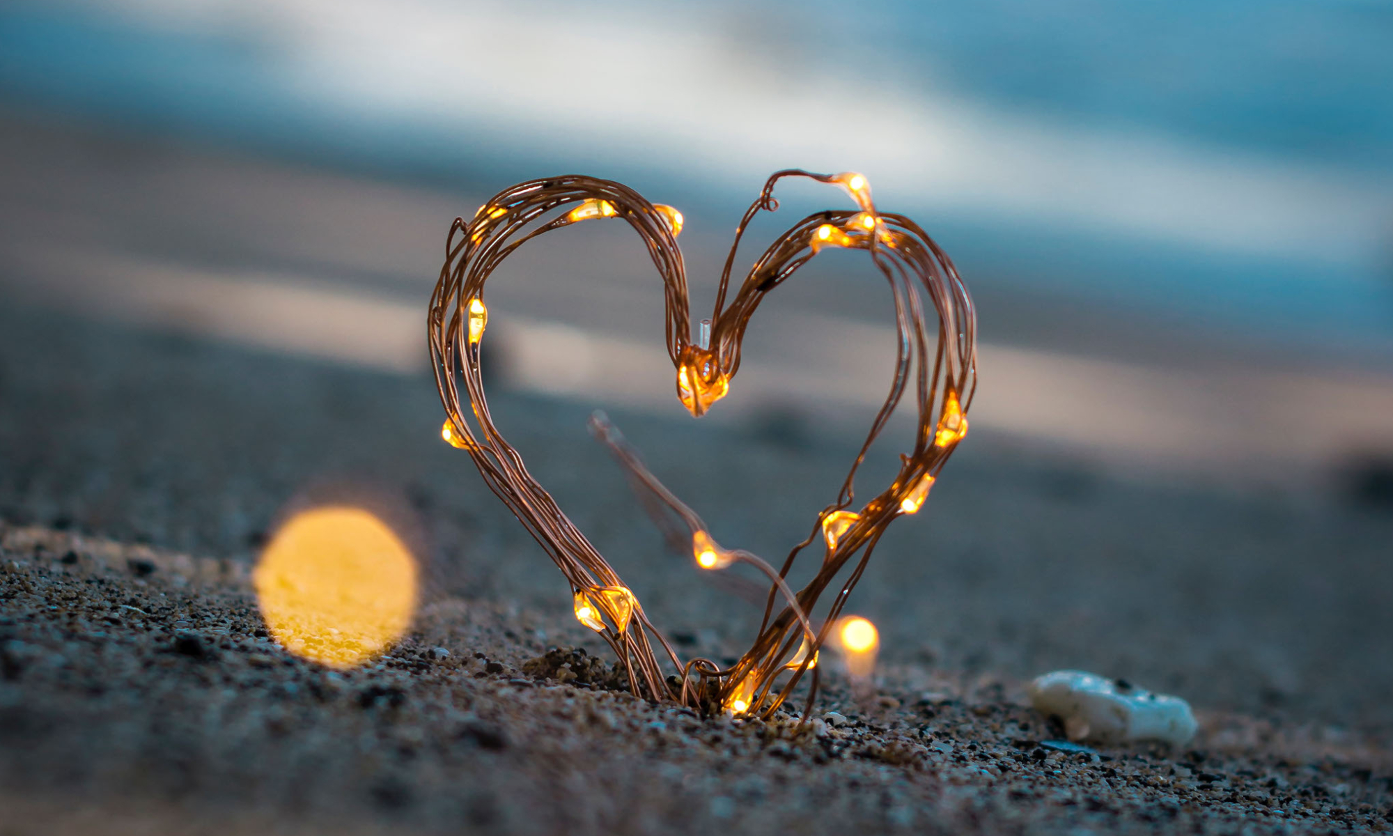 COVID-19 Policies and Procedures